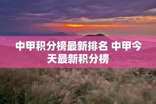 中甲积分榜最新排名 中甲今天最新积分榜 中甲积分榜最新排名 中甲今天最新积分榜