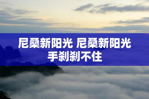 尼桑新阳光 尼桑新阳光手刹刹不住