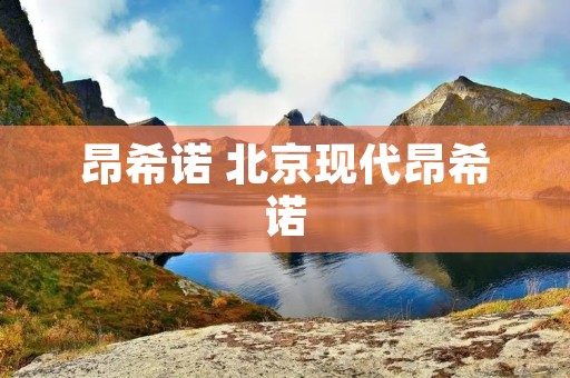 昂希诺 北京现代昂希诺
