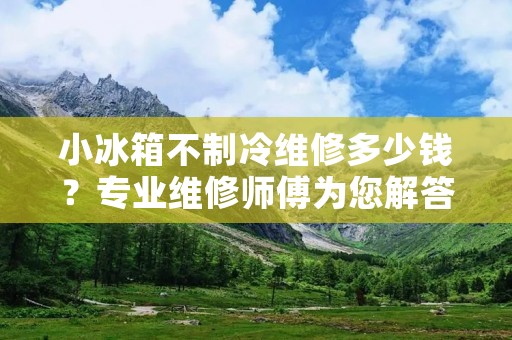 小冰箱不制冷维修多少钱？专业维修师傅为您解答