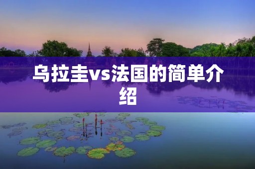 乌拉圭vs法国的简单介绍