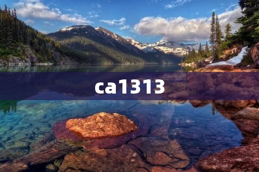 ca1313:一款让你爱不释手的神秘数字 ca1313:一款让你爱不释手的神秘数字