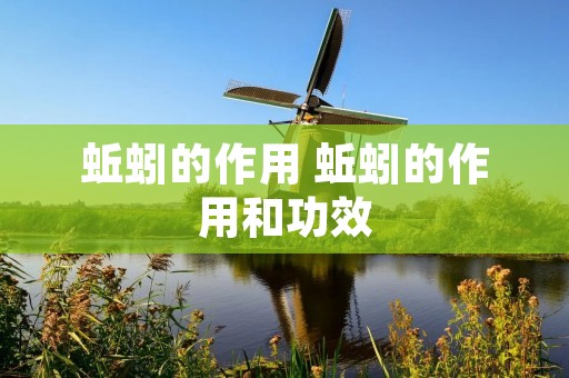 蚯蚓的作用 蚯蚓的作用和功效