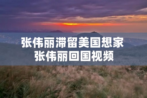 张伟丽滞留美国想家 张伟丽回国视频