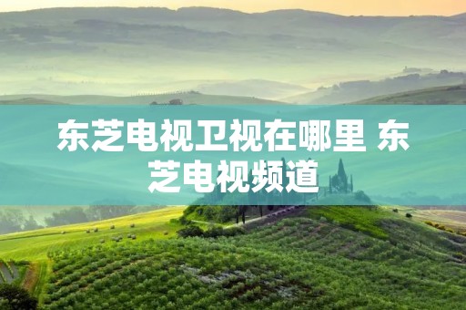 东芝电视卫视在哪里 东芝电视频道 东芝电视卫视在哪里 东芝电视频道