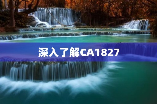 深入了解CA1827:一款领先的网络安全软件 深入了解CA1827:一款领先的网络安全软件