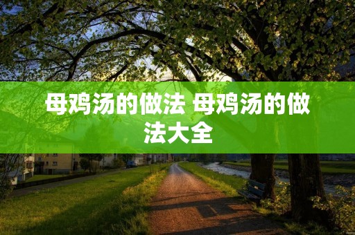 母鸡汤的做法 母鸡汤的做法大全