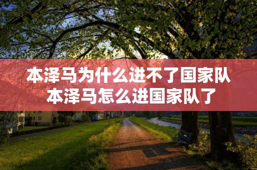 本泽马为什么进不了国家队 本泽马怎么进国家队了