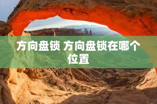 方向盘锁 方向盘锁在哪个位置