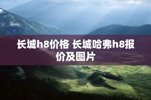 长城h8价格 长城哈弗h8报价及图片