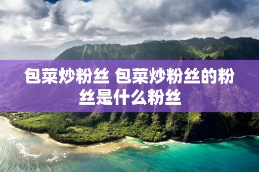 包菜炒粉丝 包菜炒粉丝的粉丝是什么粉丝