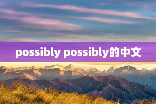 possibly possibly的中文