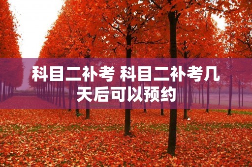 科目二补考 科目二补考几天后可以预约