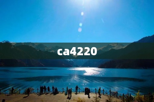 ca4220:打造高效便捷的无线网络 ca4220:打造高效便捷的无线网络