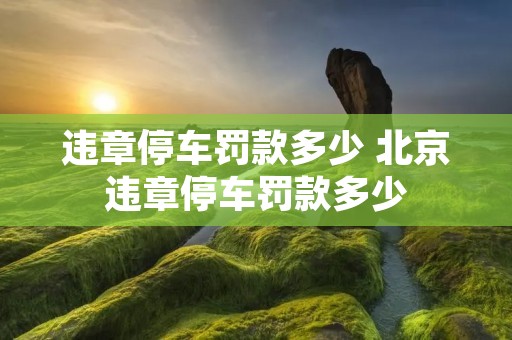 违章停车罚款多少 北京违章停车罚款多少