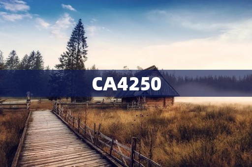 CA4250:助力企业数字化转型的关键技术 CA4250:助力企业数字化转型的关键技术