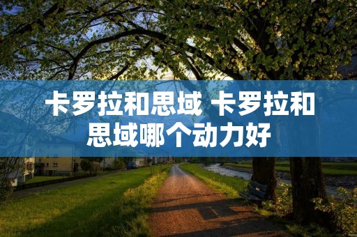 卡罗拉和思域 卡罗拉和思域哪个动力好 卡罗拉和思域 卡罗拉和思域哪个动力好