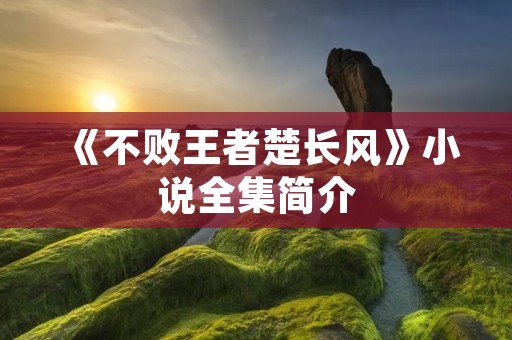 《不败王者楚长风》小说全集简介