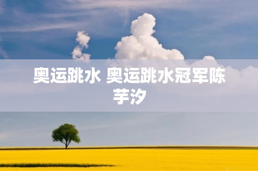奥运跳水 奥运跳水冠军陈芋汐 奥运跳水 奥运跳水冠军陈芋汐