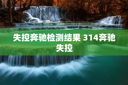 失控奔驰检测结果 314奔驰失控