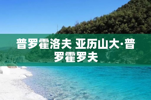 普罗霍洛夫 亚历山大·普罗霍罗夫 普罗霍洛夫 亚历山大·普罗霍罗夫