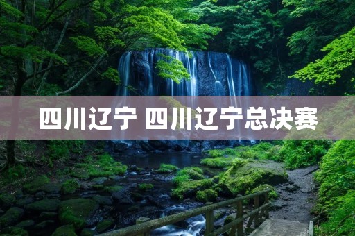 四川辽宁 四川辽宁总决赛 四川辽宁 四川辽宁总决赛