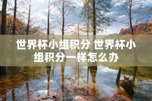 世界杯小组积分 世界杯小组积分一样怎么办