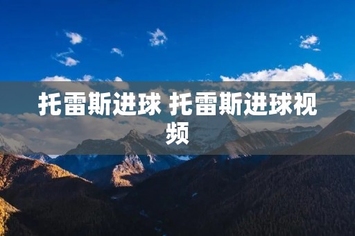 托雷斯进球 托雷斯进球视频 托雷斯进球 托雷斯进球视频