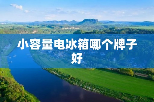 小容量电冰箱哪个牌子好