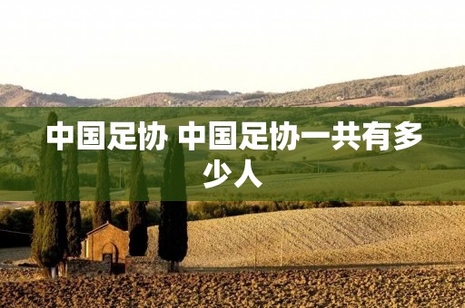 中国足协 中国足协一共有多少人 中国足协 中国足协一共有多少人