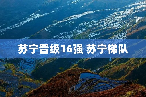 苏宁晋级16强 苏宁梯队 苏宁晋级16强 苏宁梯队