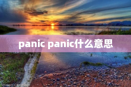 panic panic什么意思