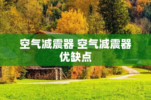 空气减震器 空气减震器优缺点