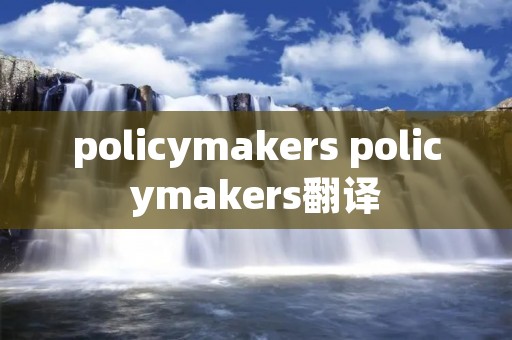 policymakers policymakers翻译