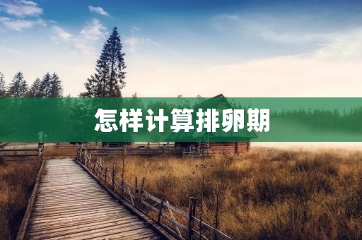 怎样计算排卵期