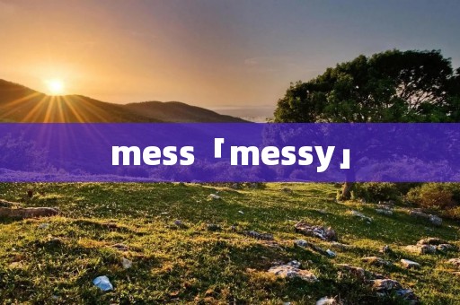 mess「messy」
