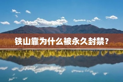 铁山靠为什么被永久封禁? 铁山靠为什么被永久封禁?
