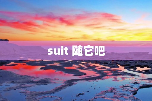 suit 随它吧 suit 随它吧