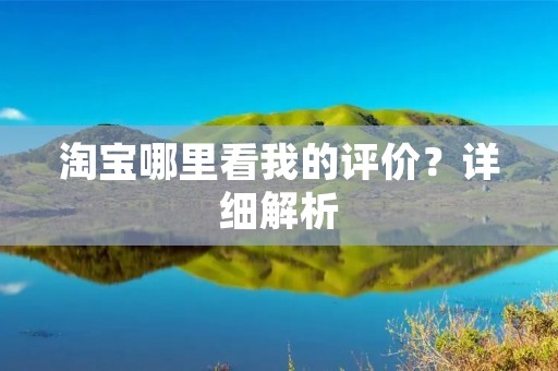 淘宝哪里看我的评价?详细解析