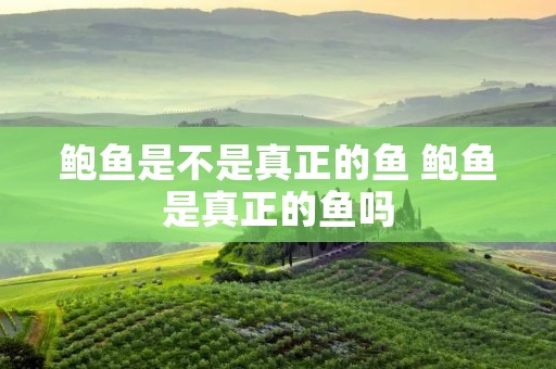 鲍鱼是不是真正的鱼 鲍鱼是真正的鱼吗
