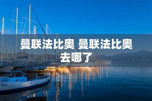 曼联法比奥 曼联法比奥去哪了