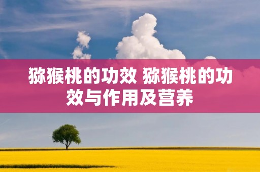 猕猴桃的功效 猕猴桃的功效与作用及营养