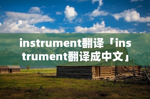 instrument翻译「instrument翻译成中文」