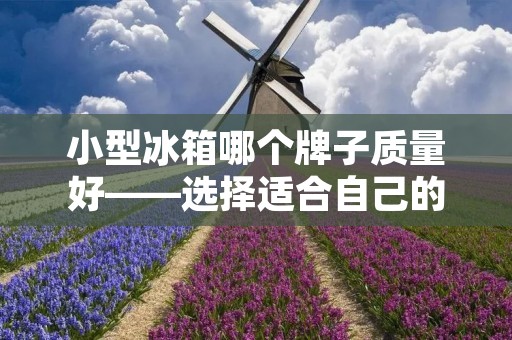 小型冰箱哪个牌子质量好——选择适合自己的小型冰箱 小型冰箱哪个牌子质量好——选择适合自己的小型冰箱