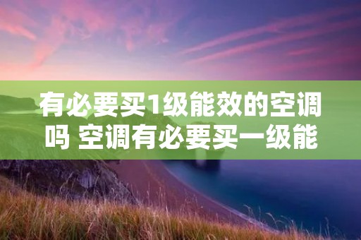 有必要买1级能效的空调吗 空调有必要买一级能效的吗?
