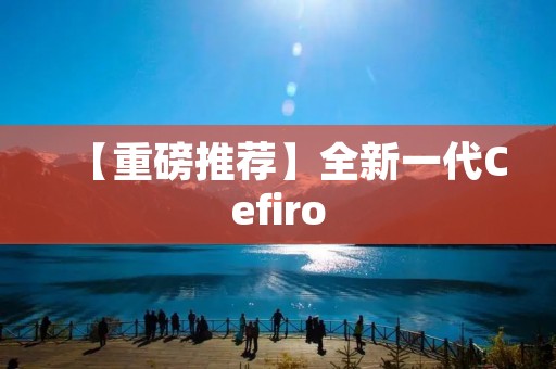 【重磅推荐】全新一代Cefiro:豪华与性能的完美结合 【重磅推荐】全新一代Cefiro:豪华与性能的完美结合