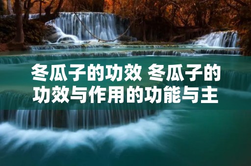 冬瓜子的功效 冬瓜子的功效与作用的功能与主治与用量