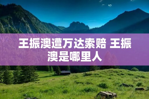 王振澳遭万达索赔 王振澳是哪里人 王振澳遭万达索赔 王振澳是哪里人
