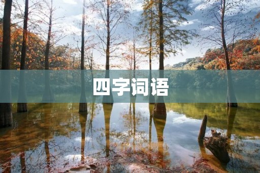 四字词语：传统与创新