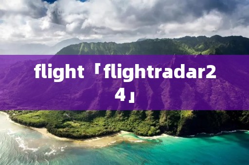 flight「flightradar24」